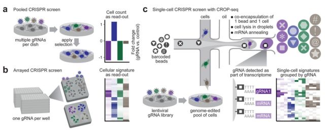 單細(xì)胞測(cè)序技術(shù)(single cell sequencing)