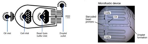 微流體設置,DROP-SEQ