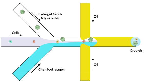 微流體裝置由三個通道而不是兩個組成,DROP-SEQ