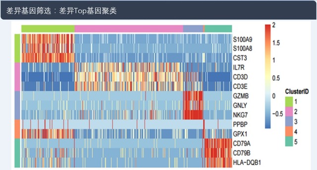 單細(xì)胞轉(zhuǎn)錄組測序(10x Genomics)詳解